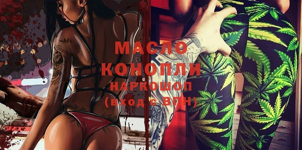 ешки Новодвинск