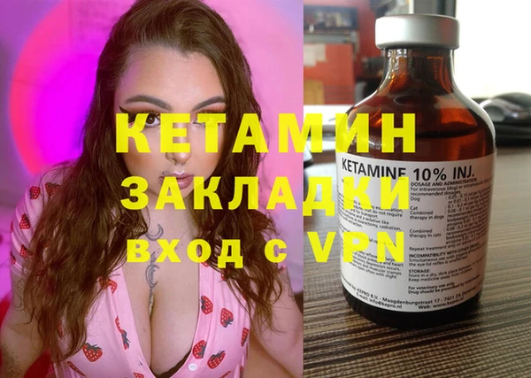 ешки Новодвинск