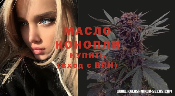 ешки Новодвинск