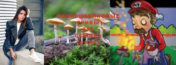ешки Новодвинск