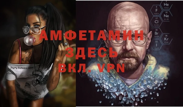 ешки Новодвинск
